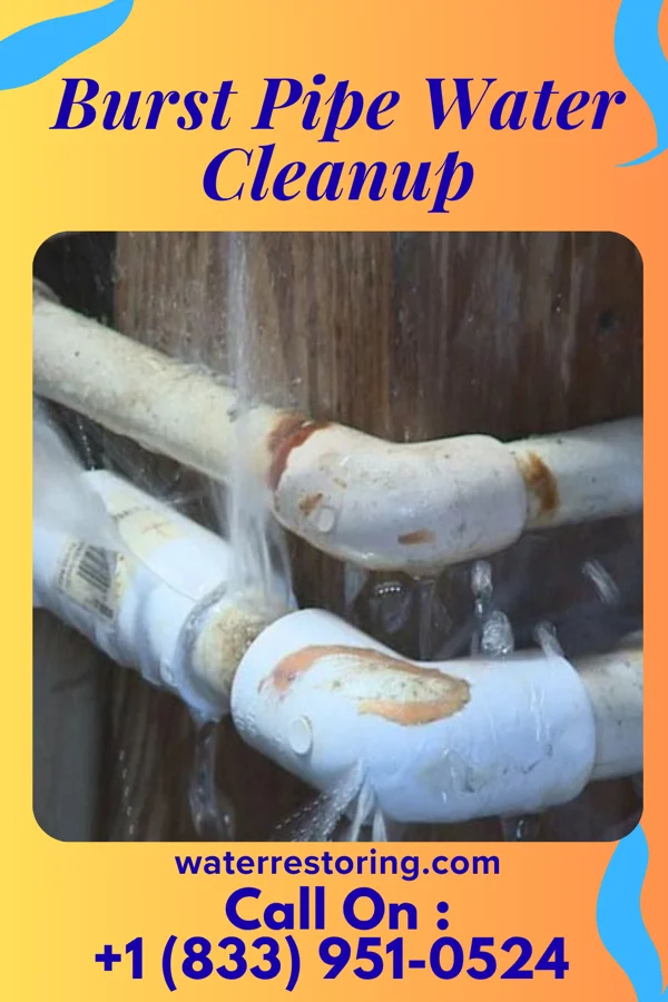 Burst Pipe Water Cleanup in Kalihiwai, HI