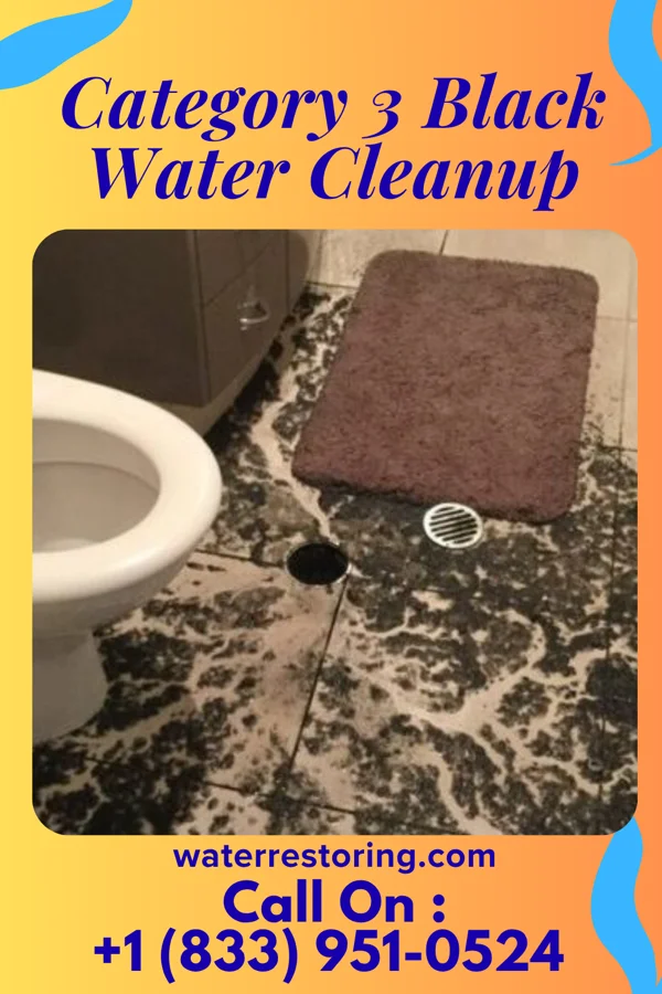 Category 3 Black Water Cleanup in Kalihiwai, HI
