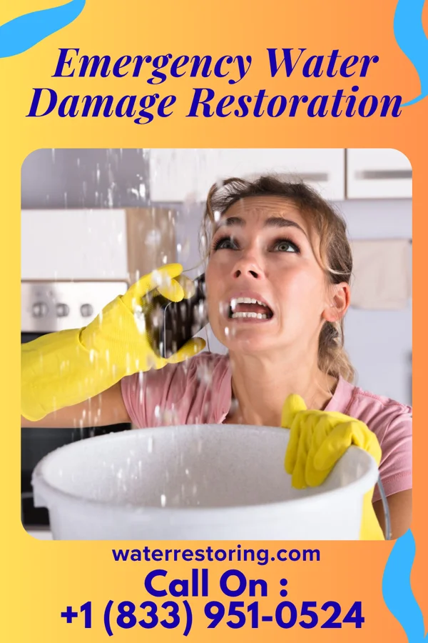 Emergency Water Damage Restoration in Kalihiwai, HI