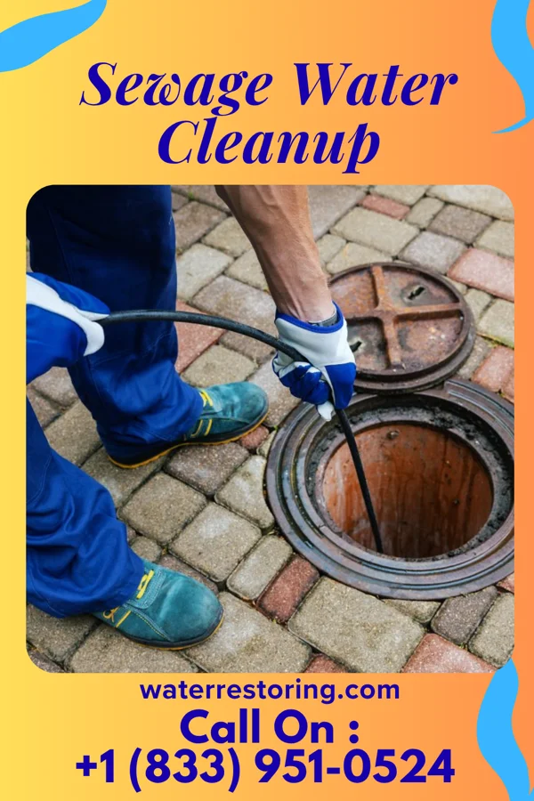 Sewage Water Cleanup in Kalihiwai, HI